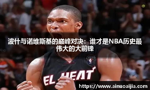 波什与诺维斯基的巅峰对决：谁才是NBA历史最伟大的大前锋